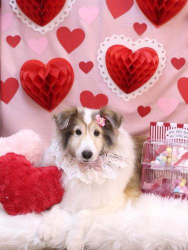 20240202カレンちゃん